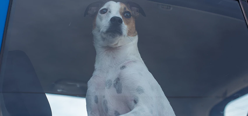 Car Lockout Solutions in San Martin, California