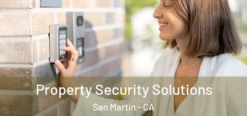  Property Security Solutions San Martin - CA